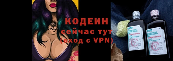 амф Верея