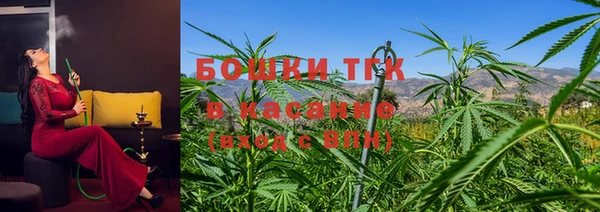 амф Верея