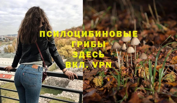 герыч Верхний Тагил